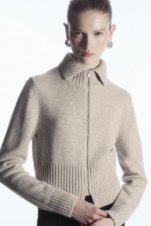 Cárdigan COS Cropped Lana Zip-Up Mujer Beige | México OLFE-57083