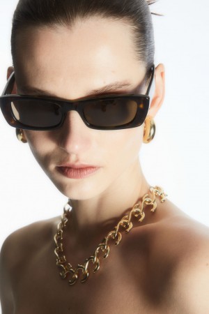 Lentes de Sol COS Narrow Cat-Eye Mujer Marrom | México HRFZ-54136