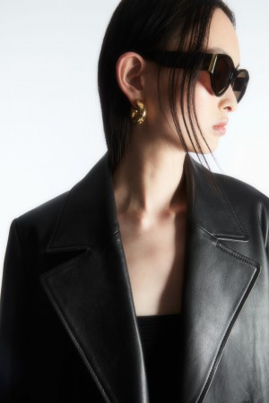 Lentes de Sol COS Tortoiseshell Cat-Eye Mujer Marrom | México KMGF-63427