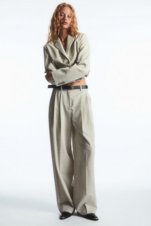 Pantalon COS Anchos-Leg Tailored Lana Mujer Beige Claro | México AJNM-13568