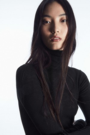 Suéteres COS Merino Lana Turtleneck Top Mujer Negros | México TYEI-01469